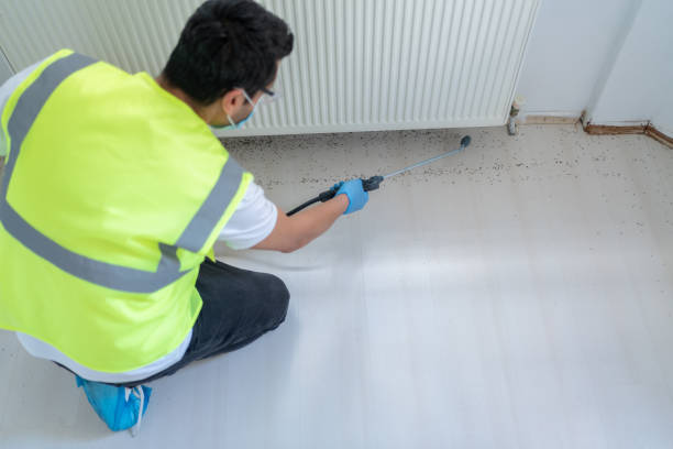 Best Fumigation Services  in South Haven, MI